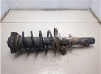6Q0413031BJ, 6Q0411105AF Амортизатор подвески Skoda Fabia 2007-2010 9480404 #5