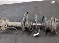 4852080196 Амортизатор подвески Toyota RAV 4 2006-2013 9483968 #6