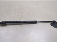 0258060750N Амортизатор крышки багажника Nissan Pathfinder 2004-2014 9484342 #1