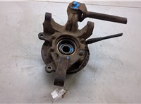 4230132060, 4230433020 Ступица (кулак, цапфа) Lexus RX 1998-2003 9486283 #5