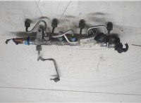 03L130089P Рампа (рейка) топливная Skoda Yeti 2009-2018 9486701 #5