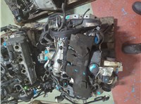 038105327E Маховик АКПП (драйв плата) Volkswagen Tiguan 2007-2011 11240639 #14