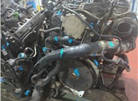 038105327E Маховик АКПП (драйв плата) Volkswagen Tiguan 2007-2011 11240639 #17