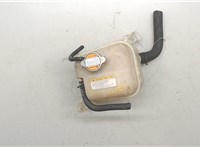 254302E100 Бачок расширительный Hyundai Tucson 1 2004-2009 9495435 #5
