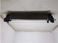 17517617597 Радиатор интеркулера BMW X1 (F48) 2015-2022 9495988 #7