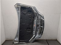  Капот KIA Sorento 2002-2009 9501926 #5