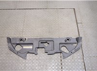 623223NA1A Накладка замка капота Nissan Leaf 2010-2017 9504604 #1