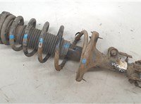 553512E501, 553302E600 Амортизатор подвески KIA Sportage 2004-2010 9509639 #5