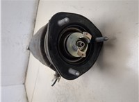 4802050150 Амортизатор подвески Lexus LS460 2006-2017 9509745 #7