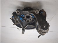 1K0615312F, 1K0407621F, 3C0407254F Ступица (кулак, цапфа) Volkswagen Passat 6 2005-2010 20001107 #7