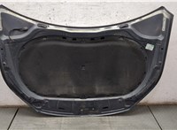  Капот Volkswagen Tiguan 2007-2011 20001991 #5