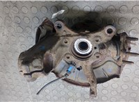 1K0407621F, 1K0407255AA, WHT003859, 1K0615311F Ступица (кулак, цапфа) Volkswagen Tiguan 2011-2018 20003198 #4