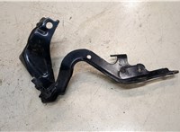  Петля капота Lexus IS 2005-2013 20003926 #2