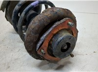 54303EQ000 Амортизатор подвески Nissan X-Trail (T30) 2001-2006 20004703 #3