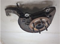6L1Z3K186AA Кулак поворотный Ford Expedition 2002-2006 11210082 #6