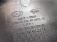  Защита арок (подкрылок) Hyundai Sonata 5 2001-2005 20012002 #5