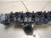  Коллектор впускной Volkswagen Passat 6 2005-2010 20013293 #8