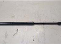 9686809480 Амортизатор крышки багажника Citroen DS5 20016095 #1