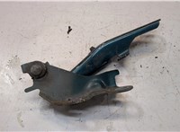  Петля капота Toyota RAV 4 2000-2005 20016412 #1