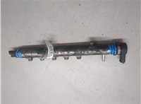 55203475, 0445215019 Рампа (рейка) топливная Alfa Romeo 159 20017906 #8