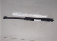 817700W002 Амортизатор крышки багажника Hyundai Santa Fe 2005-2012 20021689 #4