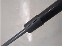 817700W002 Амортизатор крышки багажника Hyundai Santa Fe 2005-2012 20021689 #5