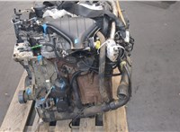 0135NR Двигатель (ДВС) Peugeot 807 2002-2014 20022752 #13