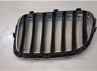 10627110 Решетка радиатора BMW X1 (E84) 2009-2015 20023509 #2