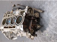  Блок цилиндров (Шорт блок) Renault Scenic 2009-2012 20028200 #9