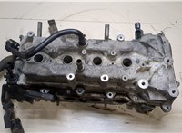  Головка блока (ГБЦ) Renault Scenic 2009-2012 20028201 #1