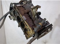  Блок цилиндров (Шорт блок) Renault Scenic 2003-2009 20029140 #1