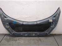 651001097R Капот Renault Scenic 2003-2009 20030210 #8