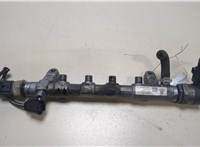  Рампа (рейка) топливная Volkswagen Tiguan 2011-2016 20031425 #1