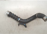 13718655836 Патрубок интеркулера BMW X1 (F48) 2019-2022 20036736 #2