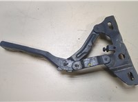  Петля капота Hyundai Tucson 4 2020- 20038711 #1