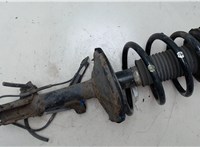 4852049375, 4813148120 Амортизатор подвески Lexus RX 1998-2003 20039690 #5