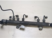  Рампа (рейка) топливная Opel Corsa D 2006-2011 20041593 #1