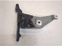 7208627 Петля капота BMW X6 E71 2007-2014 20042088 #3