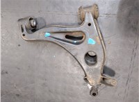 1703300107 Рычаг подвески Mercedes C W202 1993-2000 20043338 #7