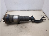4H0616039T Амортизатор подвески Audi A8 (D4) 2010-2017 20043983 #10
