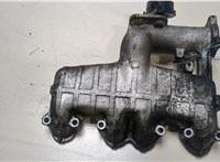 038129713J Коллектор впускной Volkswagen Golf 4 1997-2005 20044052 #1