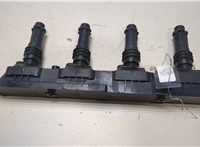 1208020, 24420584, 93177212 Катушка зажигания Opel Meriva 2003-2010 20045295 #1