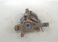 4350242020, 4321242060 Ступица (кулак, цапфа) Toyota RAV 4 2000-2005 20045603 #4