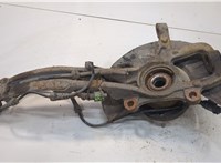  Ступица (кулак, цапфа) Volkswagen Touareg 2007-2010 20048418 #2