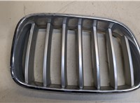 7210726 Решетка радиатора BMW X3 F25 2010-2014 20048723 #1