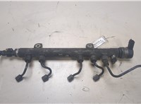  Рампа (рейка) топливная Opel Corsa D 2006-2011 20049246 #1