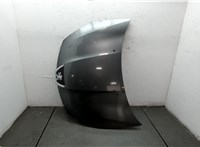  Капот Peugeot 4007 20053285 #1