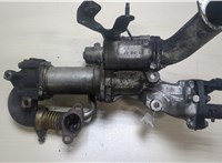  Клапан рециркуляции газов (EGR) Renault Megane 2 2002-2009 20054689 #1