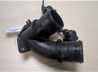  Заслонка дроссельная Citroen C5 2004-2008 20054893 #1