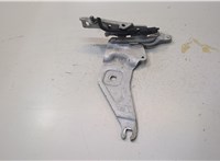  Петля капота BMW X6 E71 2007-2014 20055485 #1